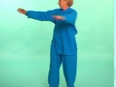 Семинары по Триначальным двигательным техникам